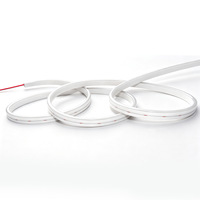 Bande LED néon flexible en silicone étroite, étanche IP65, 12V, intensité variable, CRI90, pour éclairage linéaire de signalétique et décoration d'armoires