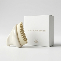 Outils de soin du visage OEM pour le drainage lymphatique, brosse sculptante et masseur Gua Sha