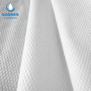 [20 Ngày Giao Hàng] Viscose Polyester Spunlace Vải Không Dệt 40gsm Spunlace Vải Không Dệt Cho Khăn Ướt - Product Image 3