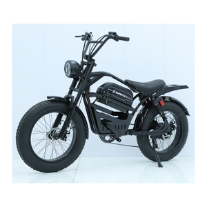 Vélos <span class=keywords><strong>électrique</strong></span>s : Modèles à suspension, à moteur, à charge rapide, de type chaise, pour l'aventure urbaine et le style chinois - Product Image 4