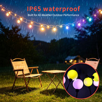 Guirlandes lumineuses de Noël extérieures étanches IP65 12V 24V, boules lumineuses LED intelligentes RGB multicolores pour la décoration de bars, jardins, magasins et maisons