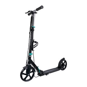 大人用スクーターアーバンキックスクーターアルミニウム合金ディッシュブレーキ折りたたみ式200mm大型ホイール - Product Image 1