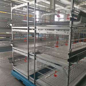 Broiler için otomatik Broiler kafes sistemi uzay tasarrufu kanatlı çiftlik yapı kafes sistemi - Product Image 1