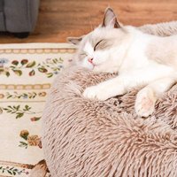 XL Jumbo 120cm Flauschiges Wasserdichtes Indoor-Beruhigungs-Schlafbett für Haustiere Klassischer Stil Kunstfell Einfarbig für Katzen und Hunde Alle Jahreszeiten