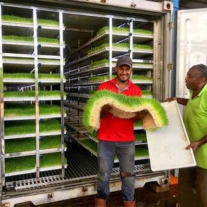 Ferme de production de fourrage hydroponique verticale en conteneurs, système de fourrage intelligent à contrôle climatique pour bovins, ovins et caprins - Product Image 4