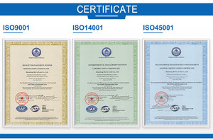 Ruier rep305 biểu tượng tùy chỉnh dùng một lần Túi Nhựa an ninh con dấu cho hậu cần - Product Image 6