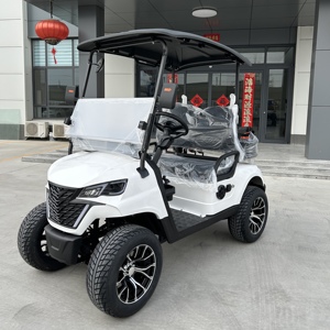 Carrito de Golf Eléctrico de 2 Plazas, Venta Caliente, para Campos de Golf y Clubes Campestres, Carga Rápida, Fabricante OEM, Vehículo Eléctrico - Product Image 2
