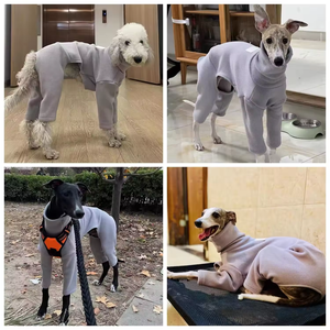 New Dog Jumpers <strong>Greyhound</strong> <strong>for</strong> Teddy Bear Jumper Dog Costume Hoodies <strong>Fleece</strong> Warm Apparel <strong>for</strong> Winter Clothes Custom Design - Product Image 5