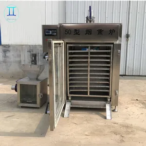 Automatic 50/100Kg/H Food Catfish Smoking Sauage Cold Fish industrial oven for sausages Smoke Meat Machine