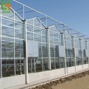 Hot Sale <strong>Greenhouse</strong> <strong>Glass</strong> <strong>Panels</strong> <strong>Glass</strong> <strong>Greenhouse</strong> House Complete Kit for Vegetables - Product Image 5