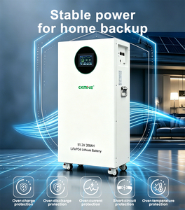 Batería de Litio de 15kwh, 8000+ Ciclos, 51.2V 48V 300Ah, Celdas de Grado A, para Sistema de Almacenamiento de Energía con Inversor Solar de 6kw <span class=keywords><strong>8kw</strong></span> 10kw 12kw - Product Image 3