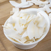 Keripik Kelapa Kering Grosir Bahan Baku Irisan Kelapa untuk Makanan Ringan Kelas Makanan, Panggang Renyah Alami Tanpa Gula