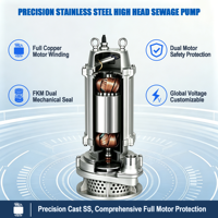 Pompe submersible à eaux usées WQ(D)X-S à haute pression en acier inoxydable 304, sortie filetée BSP, basse pression, OEM, usage commercial, eaux usées