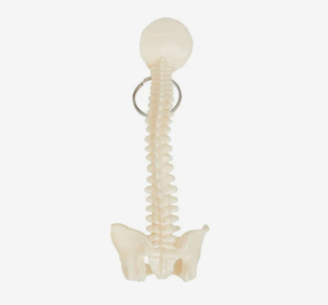 Porte-clés personnalisé <span class=keywords><strong>en</strong></span> forme de colonne vertébrale et de bassin, <span class=keywords><strong>cadeau</strong></span> promotionnel avec impression de logo <span class=keywords><strong>pour</strong></span> étudiant <span class=keywords><strong>en</strong></span> médecine, chiropraticien, <span class=keywords><strong>cadeau</strong></span> de remise de diplôme - Product Image 3
