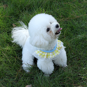 Nouvelle laisse de traction anti-évasion pour chat et petite chenille, sangle de poitrine réglable pour chien Teddy Bear, par le fabricant - Product Image 5