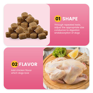 Marque distributeur Complément multivitamine personnalisé pour animaux de compagnie Chien 23 en 1 Suppléments à mâcher souple pour soins de santé - Product Image 3