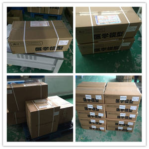 1007 पारंपरिक चीनी चिकित्सा एक्यूपंक्चर मॉडल स्कूल अस्पतालों के प्रशिक्षण के लिए पुरुष pvc चिकित्सा विज्ञान उत्पाद - Product Image 4