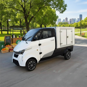 Triciclo de Carga Eléctrico EEC, Superventas en China 2026 |   Motor de 4000W, Alcance de 90 km, Carga de 100-200 kg |   Logística de Cuerpo Cerrado para Uso Agrícola - Product Image 3