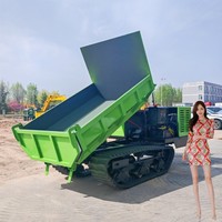 Chinesischer Raupentransporter Minidumper Diesel Benzin Raupenkipper Mini 500kg