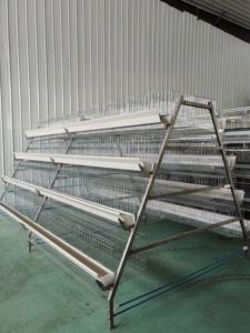 Nuevo Sistema de Crí<span class=keywords><strong>a</strong></span> de Aves de Corral Semiautomático Tipo <span class=keywords><strong>A</strong></span>, Galvanizado en Caliente, para Jaulas de Alta Producción <span class=keywords><strong>a</strong></span> un <span class=keywords><strong>Precio</strong></span> Económico - Product Image 1