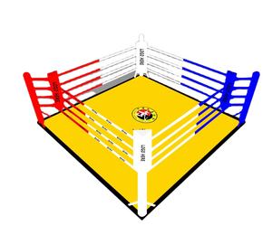 Logotipo personalizado Los más vendidos ring de boxeo <span class=keywords><strong>plastron</strong></span> de protection Boxe corde ring de boxeo competencia Boxing Gym ring - Product Image 2