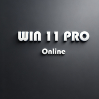 Nouveau Windows 11 Pro 2026 Envoyer sur le chat d'Ali