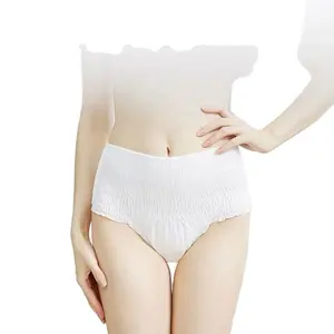 Vrouwen Menstruatie 'S Nachts Ondergoed Slipje Groothandel Wegwerp Lekvrij Biologisch Katoen 4 Laag Strings Voor Vrouwen M-Xl