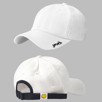Gorra de Béisbol Personalizada con Bordado Deportivo, Estilo Casual de Primavera/Verano, Parte Superior Suave, Visera Curva, 6 Paneles, Unisex, de Algodón