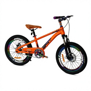 Vélo de montagne pour enfants de 18, 20 et 22 pouces pour garçons et filles, orange, VTT avec freins à disque doubles et fourche à suspension avant - Product Image 1