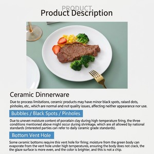 Platos para Bistec de Porcelana Esmaltada Blanca de 9 Pulgadas - Plato Plano Personalizable con Logotipo para Restaurantes de Alta Gama - OEM y Seguro para Alimentos - Product Image 5