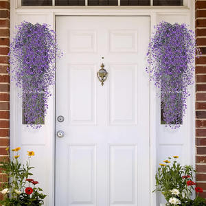 <span class=keywords><strong>Fittonia</strong></span> ห้อย5สาขาสำหรับตกแต่งสถานที่สาธารณะ - Product Image 3