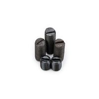 Classe 4.8 8.8 10.9 12.9 vis de réglage à pointe plate à oxyde noir DIN551