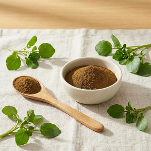 Polvo de Watercress Suministrado por Fábrica |   Extracto de <span class=keywords><strong>Nasturtium</strong></span> <span class=keywords><strong>Officinale</strong></span> en Polvo a Granel - Product Image 2