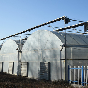 Single-Span Agricultural Greenhouse <b>Large</b> Film Cover Galvanized Steel Frame - Product Image 1