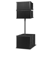 Haut-parleur de sonorisation actif bidirectionnel 12 pouces, avec DSP, égaliseur, délai et limiteur, enceinte en bouleau pour concerts, mariages et scènes professionnelles