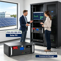 Batterie LiFePO4 19 pouces pour rack, pack de batteries intelligentes BMS 51,2V 100Ah 5,12kWh, communication RS232 CAN, installation au sol et en rack disponible
