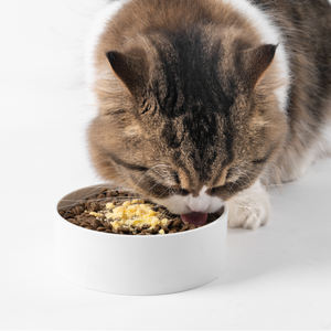 מזון יבש ללא תבואה של מזון יבש ללא תבואה במזון יבש באיכות גבוהה במיוחד עבור כל החתול עם פירות ים oem & dem - Product Image 5