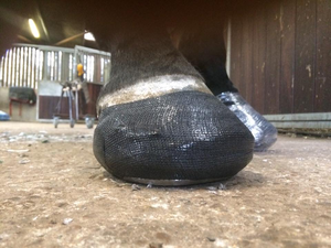 Cinta de Fibra de Vidrio Ortopédica Desechable para Uso Hospitalario y Veterinario, Venda Médica Transpirable de Alta Elasticidad - Product Image 4