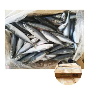 XingWang umpan ikan makarel Frozen harga ikan makarel