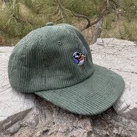 6-panel corduroy ongestructureerde petten, lage profiel petten met een licht gebogen klep