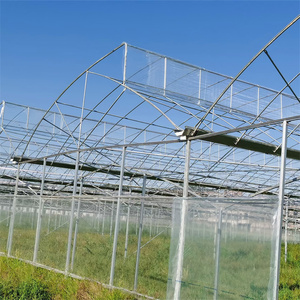 Baolida 8x37.5m 4m de haut tunnel PE <span class=keywords><strong>film</strong></span> plastique couvrant toit en pente conception serre en dents de scie à travée unique - Product Image 6