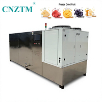 Machine de lyophilisation industrielle et commerciale automatique pour aliments, moteur en acier inoxydable, capacité de 30-60 kg par lot pour la transformation alimentaire