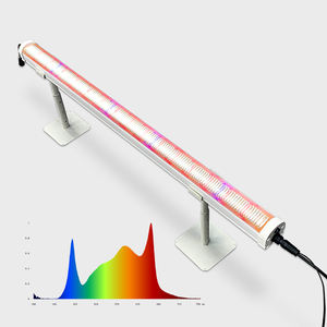 2.7 andy umol/j הטוב ביותר איכות מלאה 120w 150w תחת חופה לגדול אור הוביל צ 'ילי עגבניות תות שדה - Product Image 4