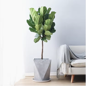 Grandi Alberi Bonsai di Ficus Lyrata in Plastica per Interni, Fioritura Perenne, Purificazione dell'Aria, Decorazione Natalizia e del Ringraziamento - Product Image 1