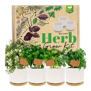 New Arrival White Ceramic Pot Bamboo Tray Herb Garden Bonsai Starter Kit