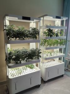 Système de culture intelligent d'<span class=keywords><strong>intérieur</strong></span>, système de culture hydroponique, pot de fleurs, kit de jardinage à domicile, éclairage <span class=keywords><strong>LED</strong></span> pour plantes, jardinières avec capteur - Product Image 3