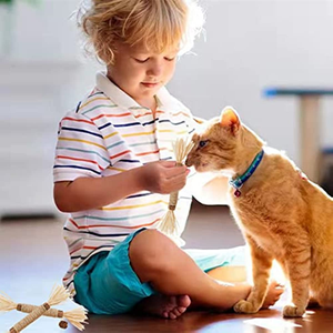 Cat Toys Silvervine Chew Stick,Kitten Treat Catnip Toy Kitty Natural <strong>Stuff</strong> with Catnip for <strong>Cleaning</strong> Teeth Indoor Dental - Product Image 4