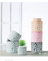 Fournitures de jardin Décor nordique coloré Imprimé léopard Pot de plantes succulentes Pots de fleurs en céramique Planteur en terre cuite