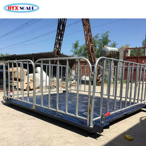 Báscula Ganadera Portátil <span class=keywords><strong>de</strong></span> Acero Inoxidable con Pantalla LCD y LED, Báscula para Pesar Ganado Vacuno y Canino, Modelo TCS con Función <span class=keywords><strong>de</strong></span> Tara - Product Image 6