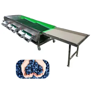 Automation Sort by Size Fruit Blueberry Grading Machine Fruit Sorting Machine